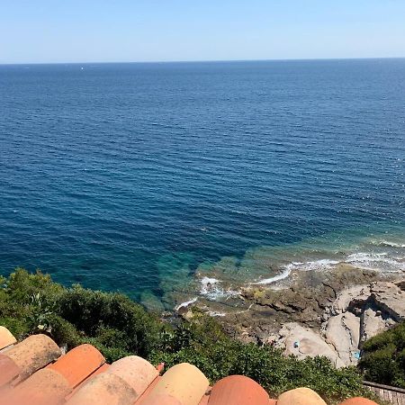 Apartament La Gavaresse Carqueiranne Zewnętrze zdjęcie